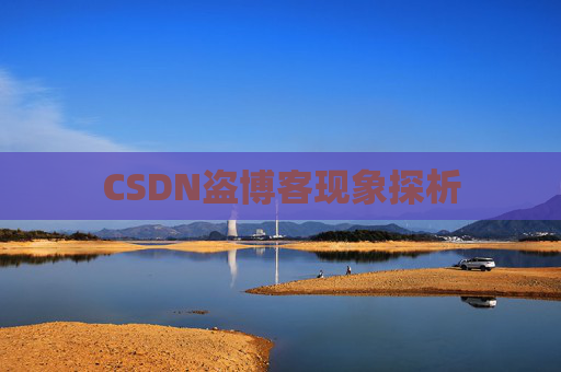 CSDN盗博客现象探析